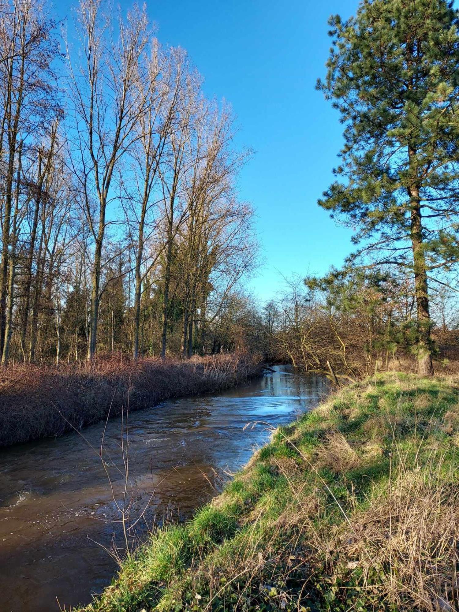 Rustig Gelegen Chalet Kapeki Met Tuin Aan Het Water 질 외부 사진