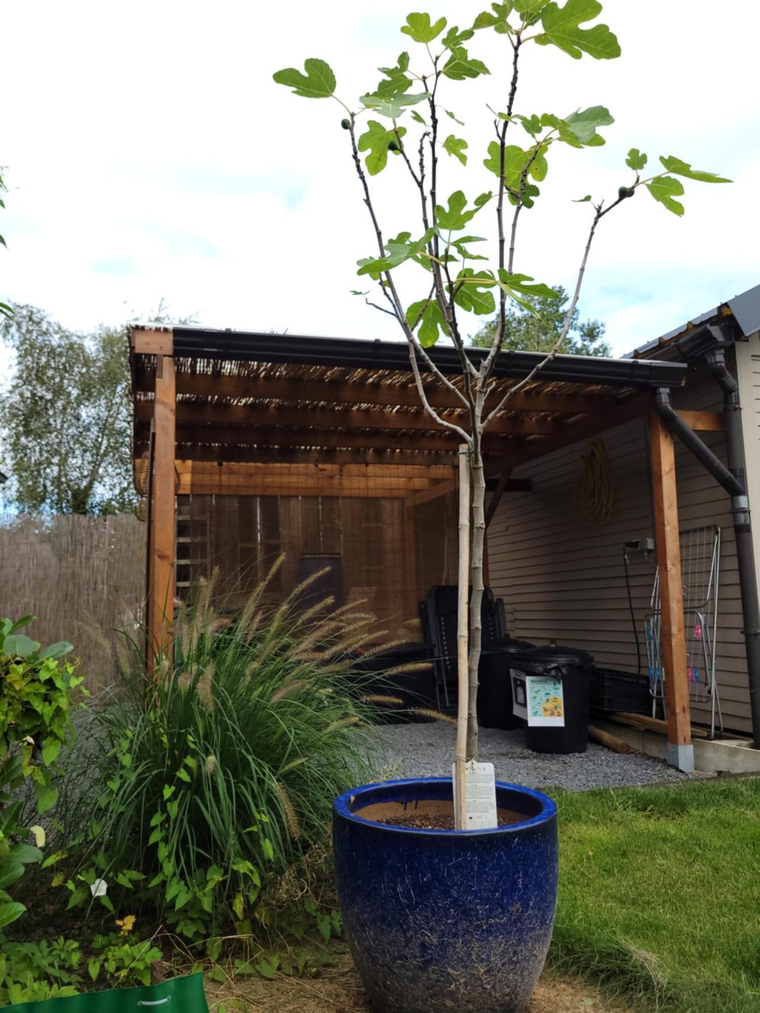 Rustig Gelegen Chalet Kapeki Met Tuin Aan Het Water 질 외부 사진